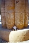 Monkey at the bottom of a column in Luxor temple